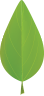 Vegcard